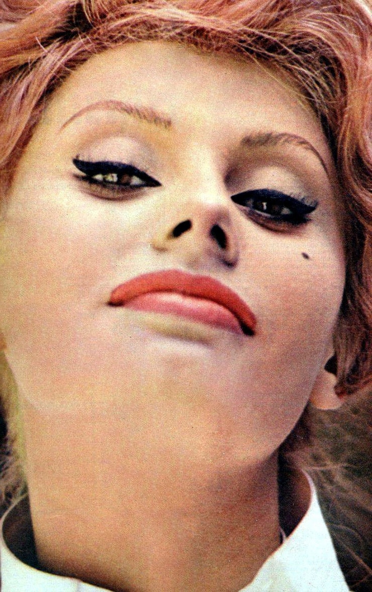 Picture of Sophia Loren