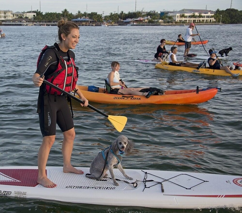 Picture of Ginger Zee