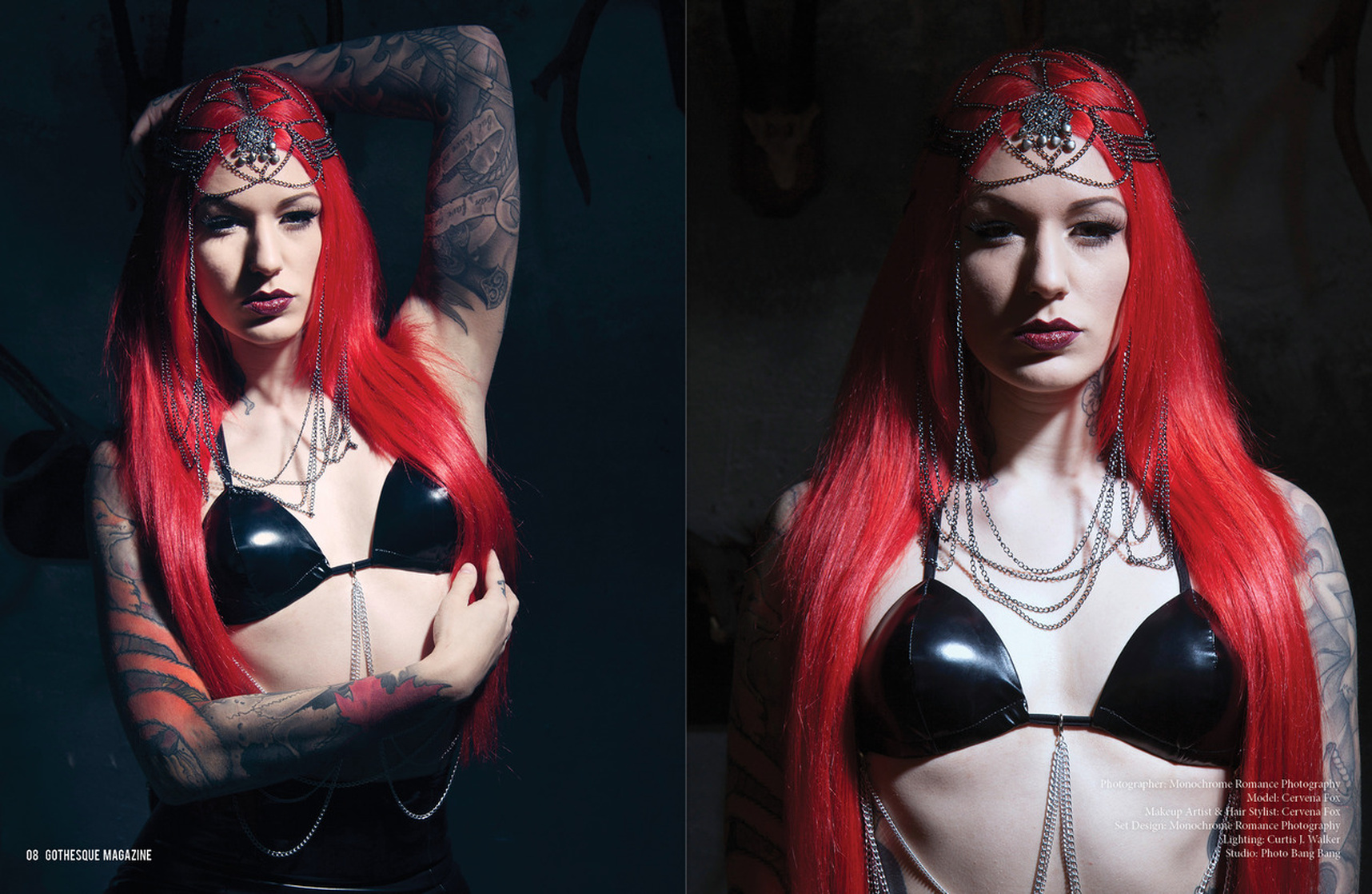 Picture of Cervena Fox