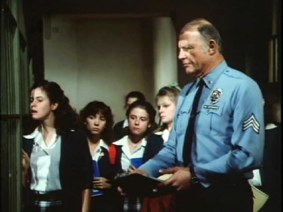 Picture of Hill Street Blues