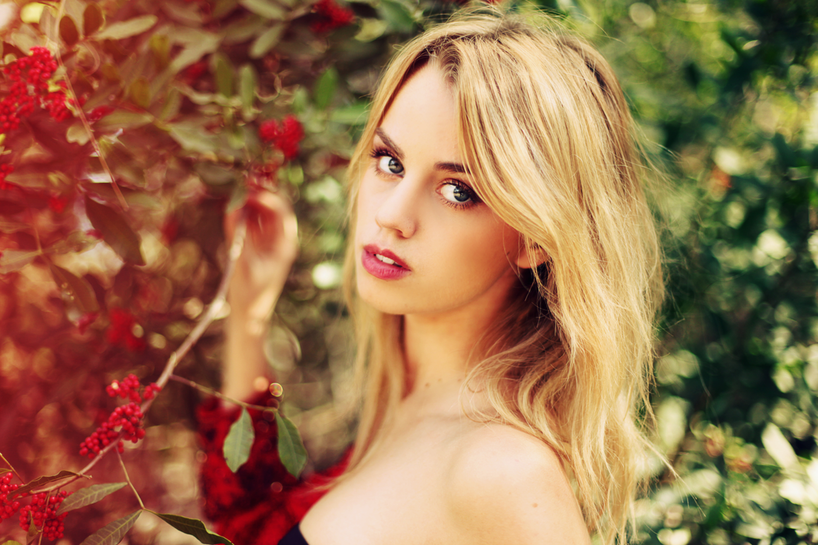 Effy Harvard Effy Harvard