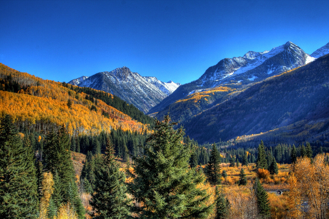 colorado avalanche tie