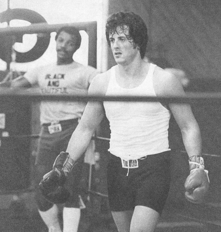 Sylvester Stallone image