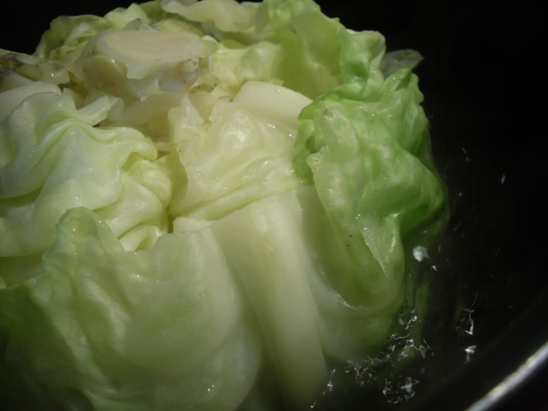 White Cabbage