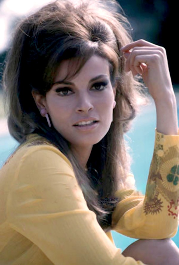 Picture of Raquel Welch