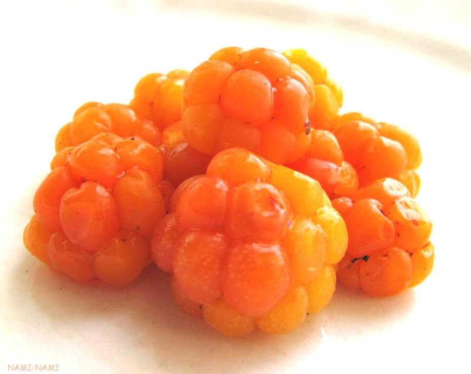 picture-of-cloudberry