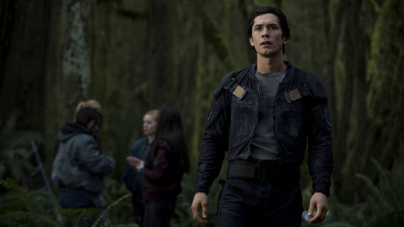 The 100