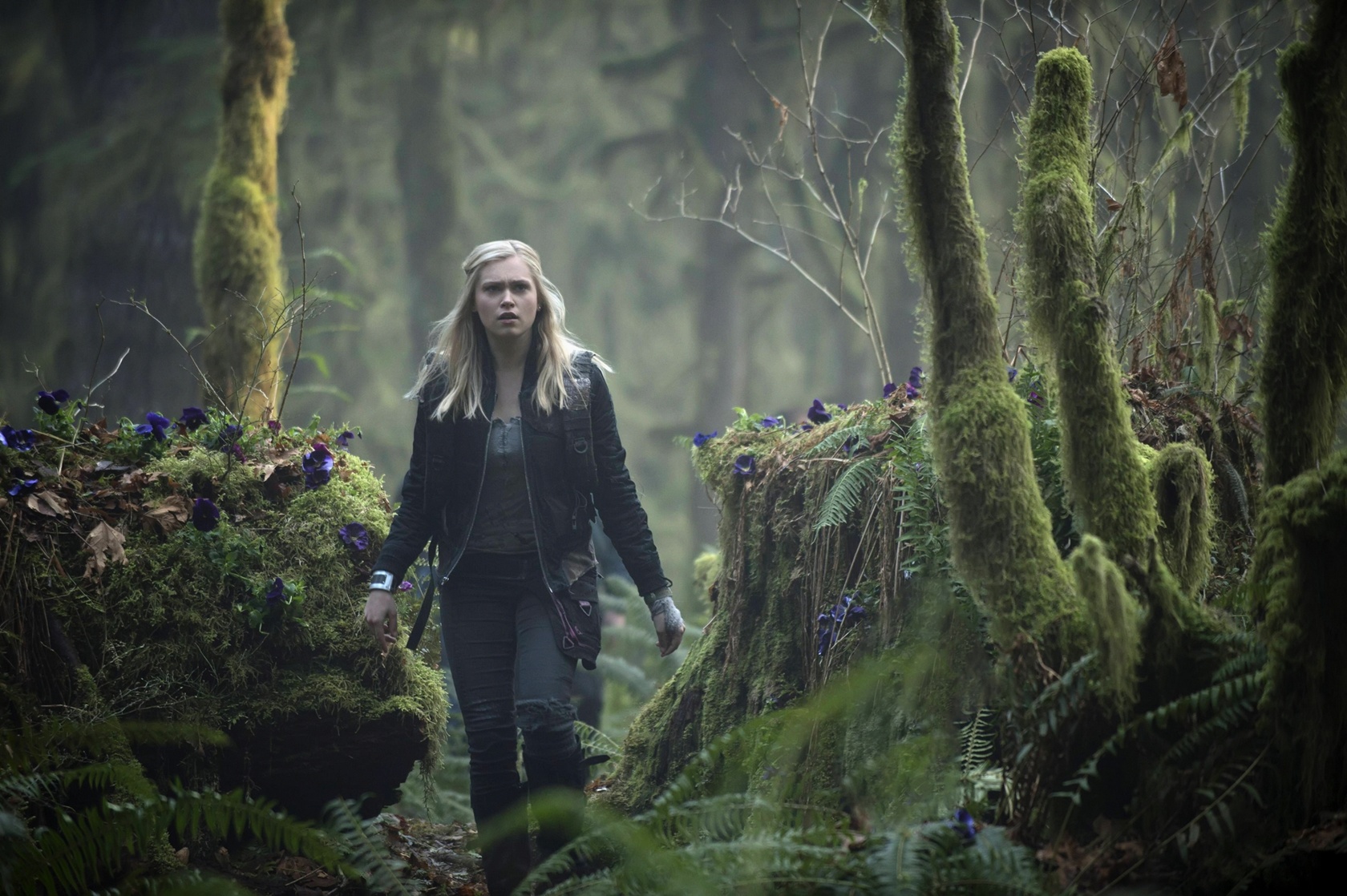 The 100 The 100