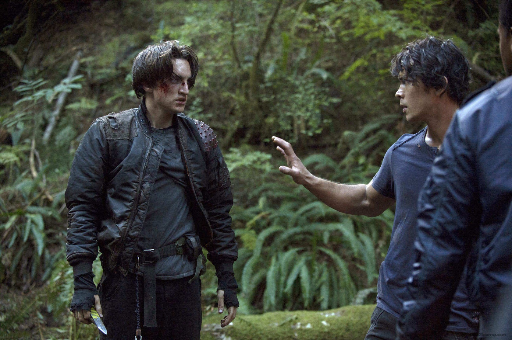 The 100 The 100