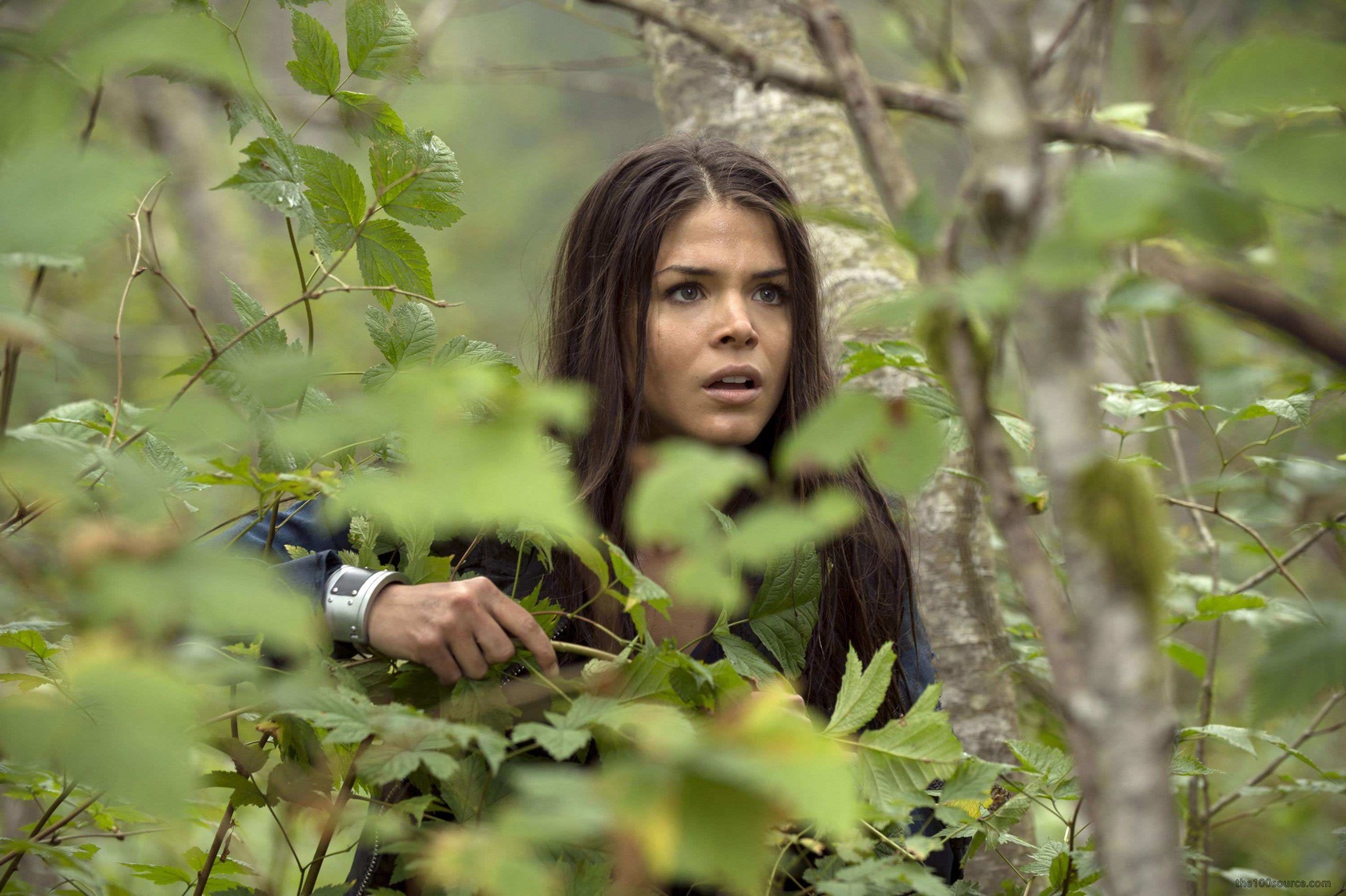 The 100 The 100