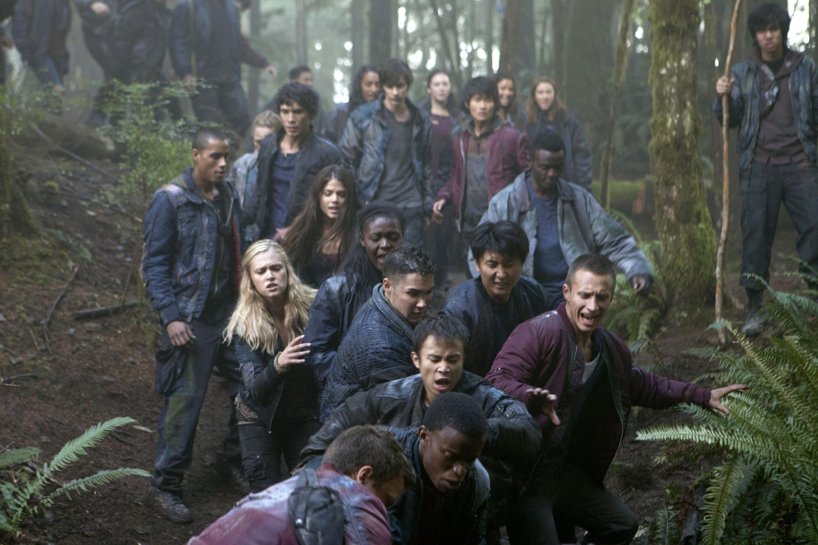 The 100