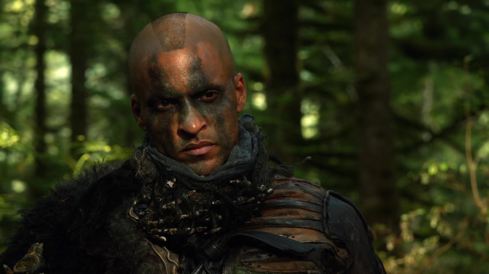 The 100 The 100