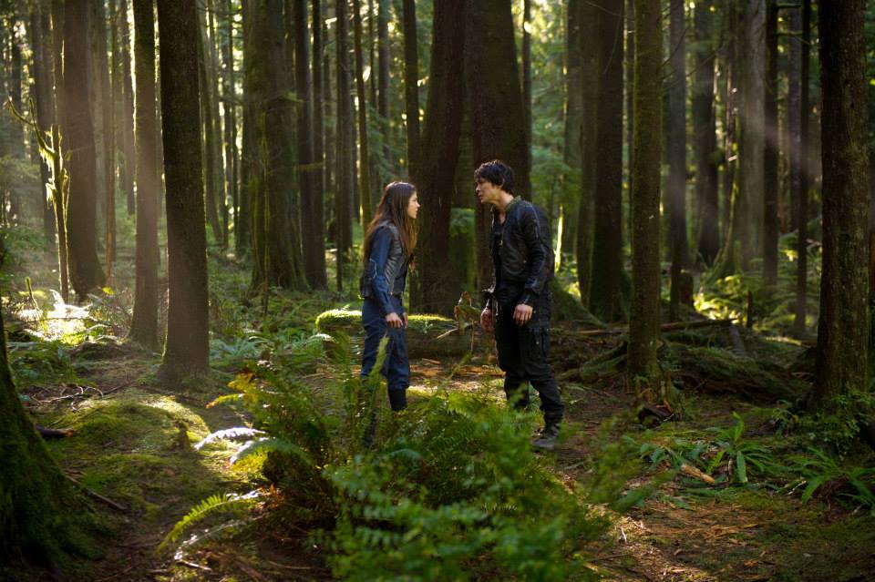 The 100