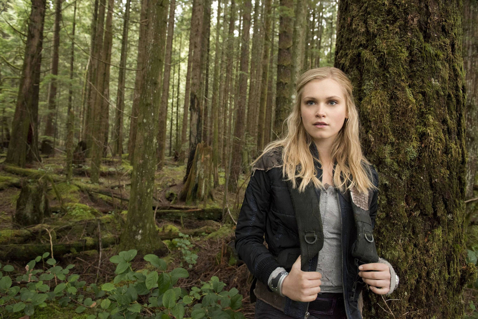 The 100 The 100