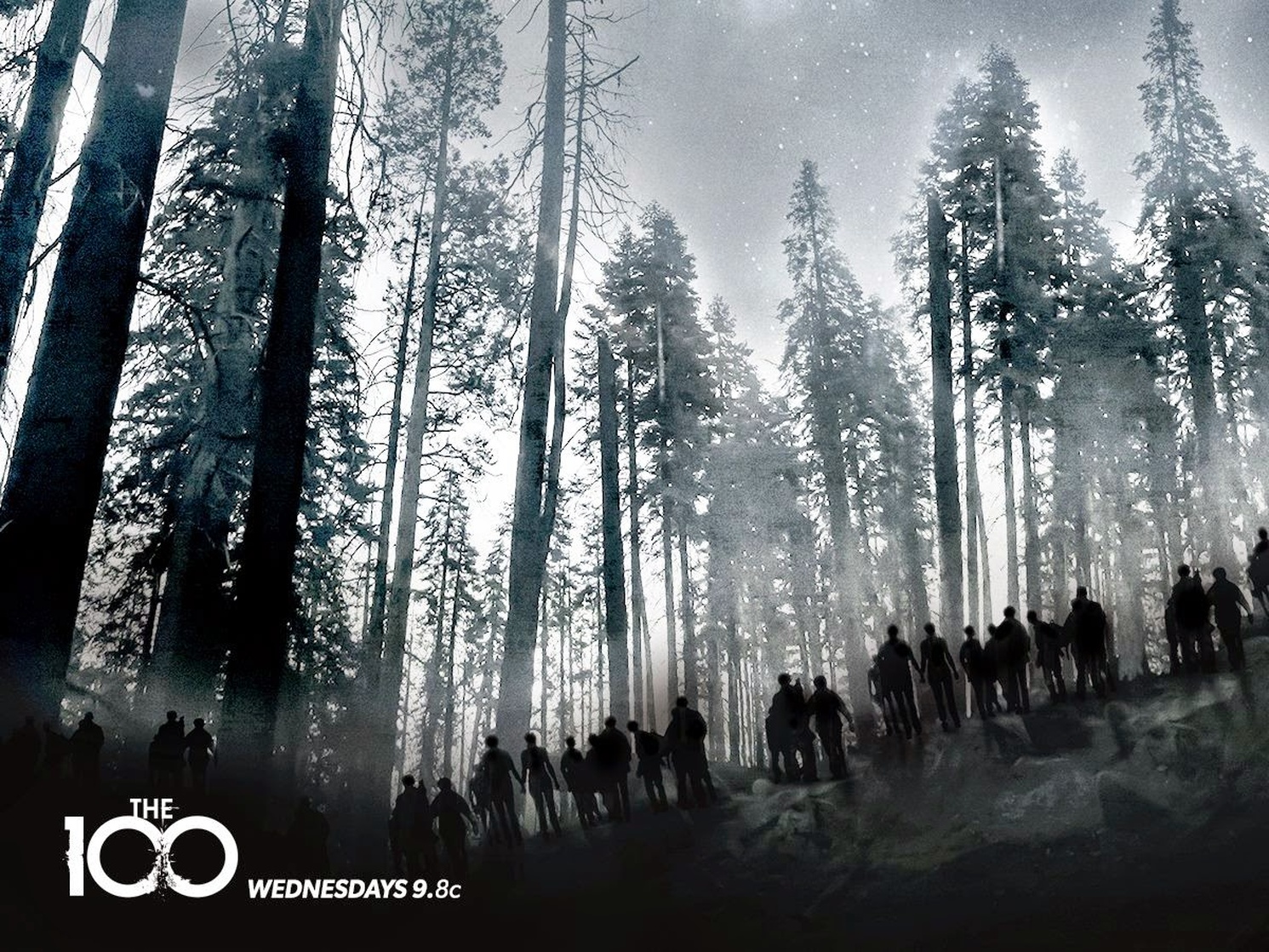 The 100