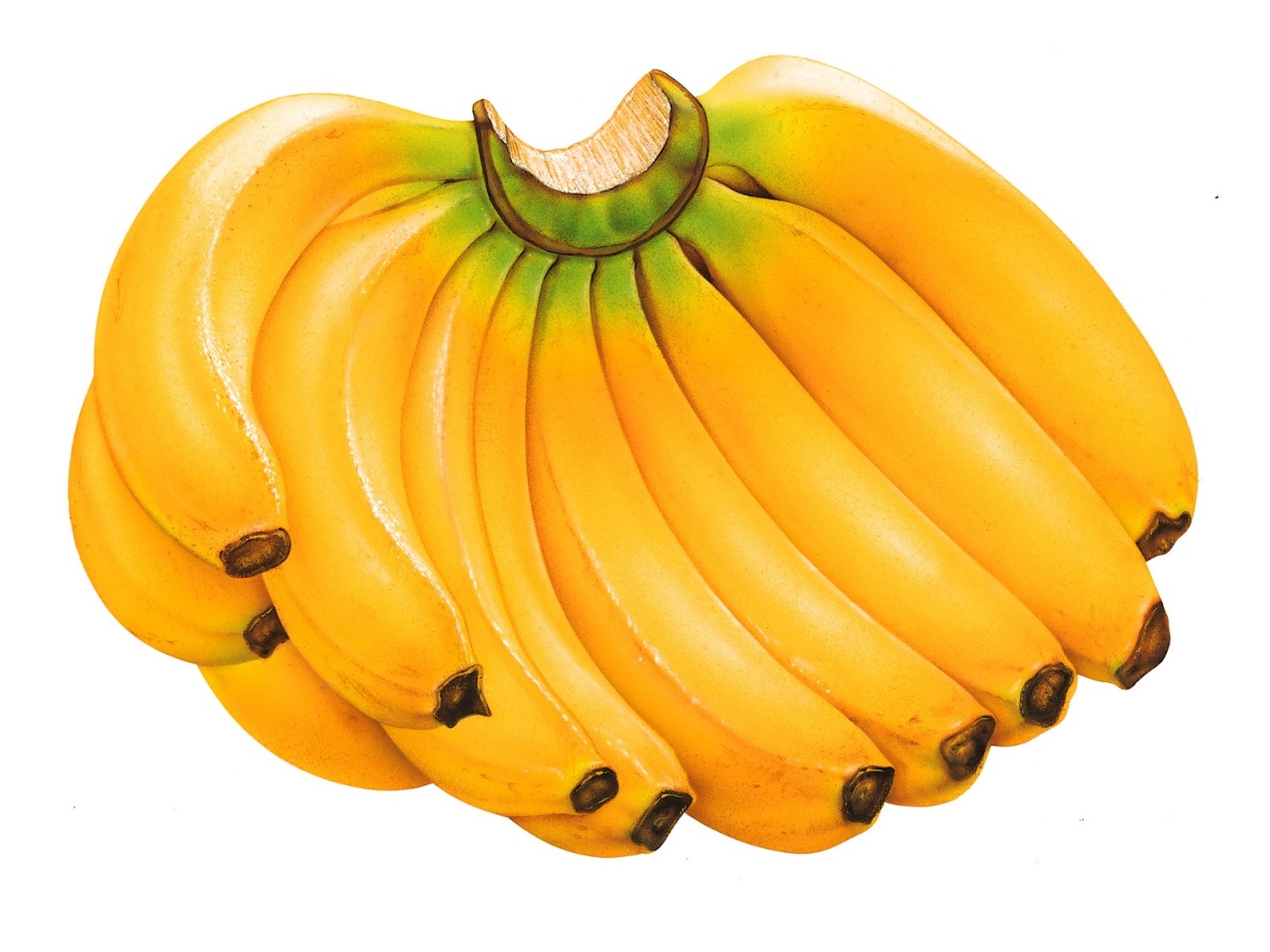 Banana Banana