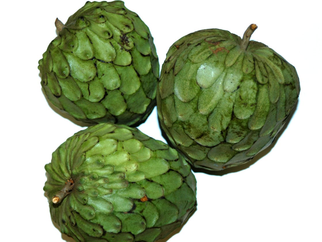 Cherimoya