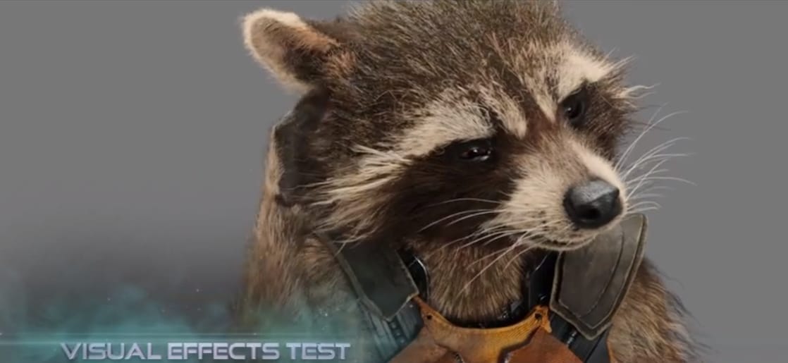 Rocket Raccoon (Bradley Cooper)