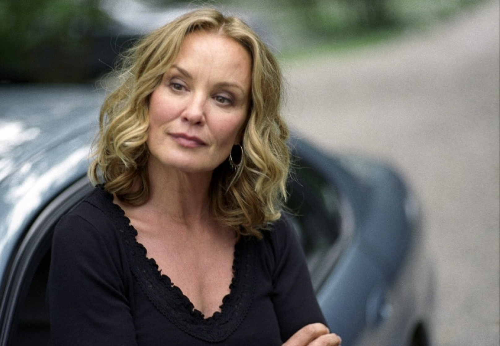 Picture of Broken Flowers