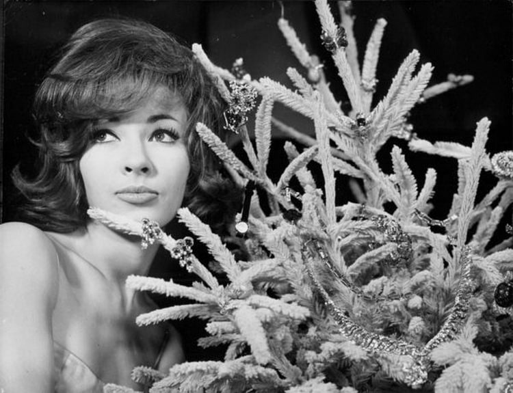 Dany Saval