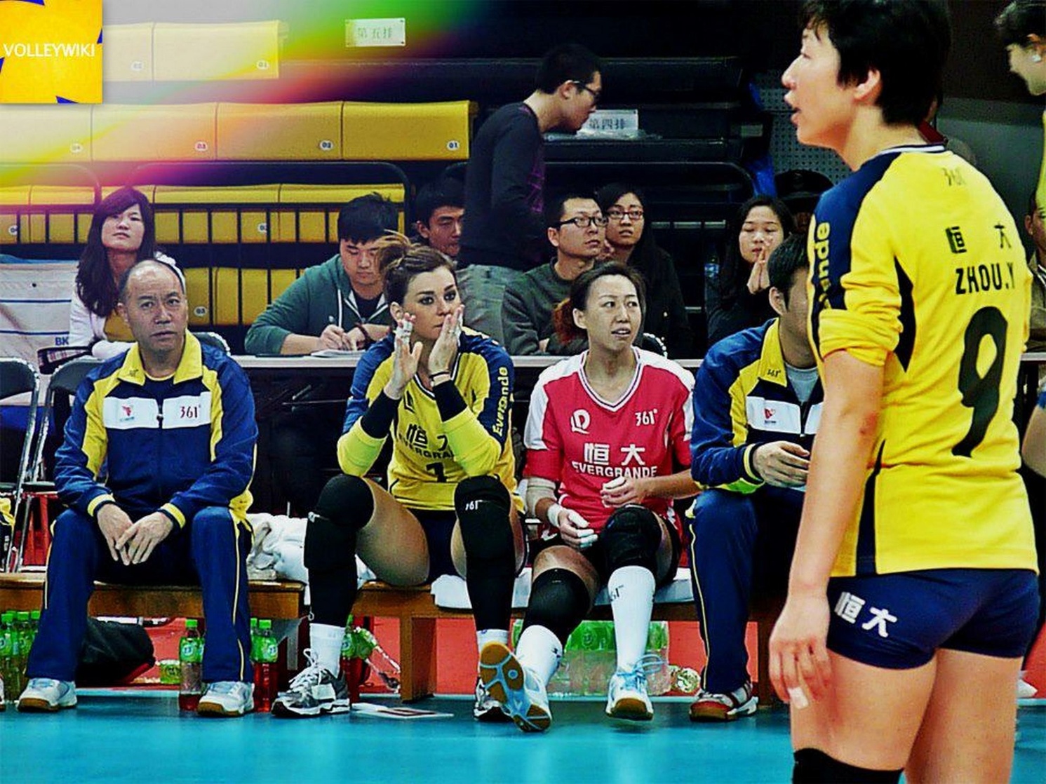 Katarzyna Skowronska
