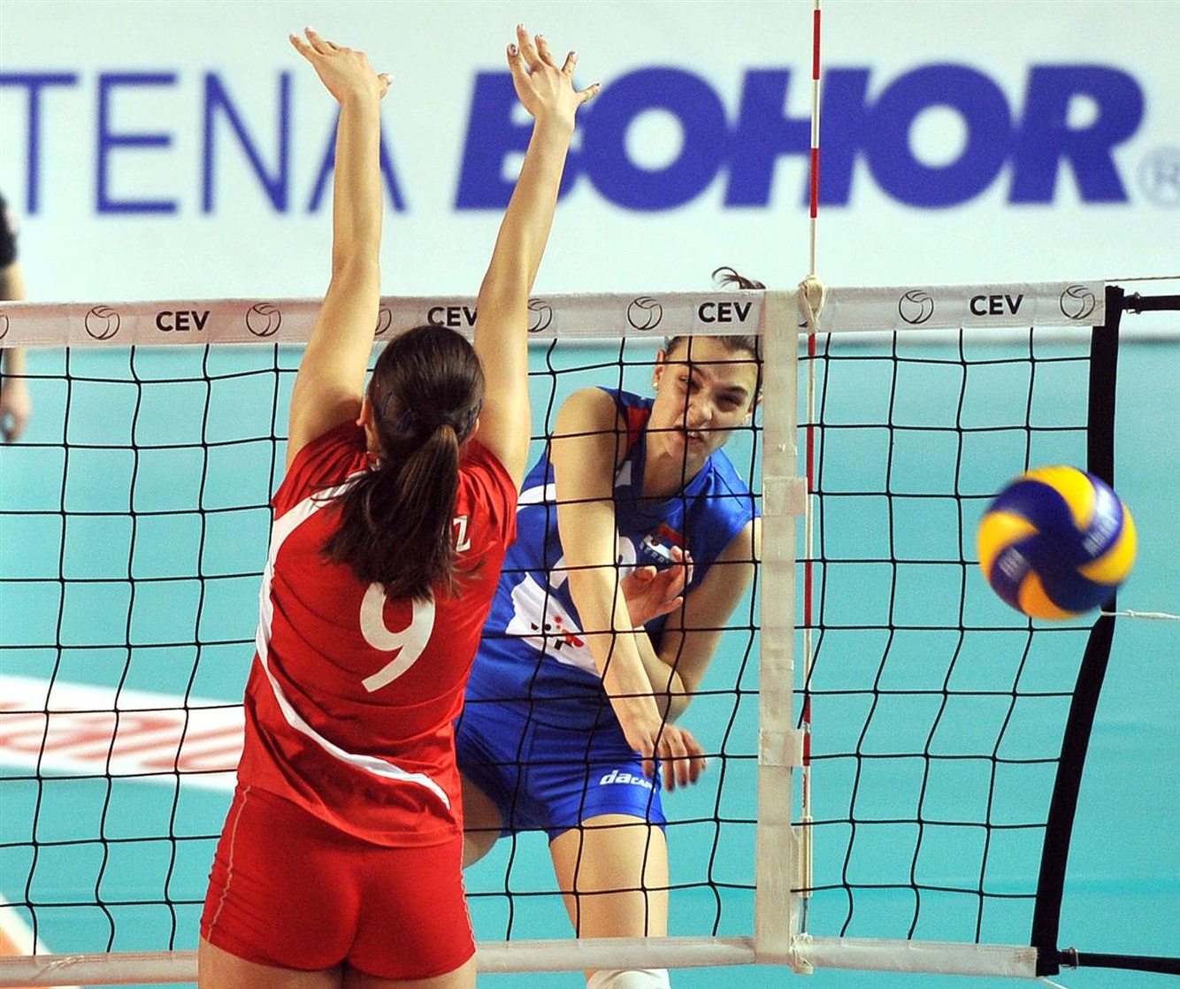 Pelin Aroguz Pelin Aroguz
