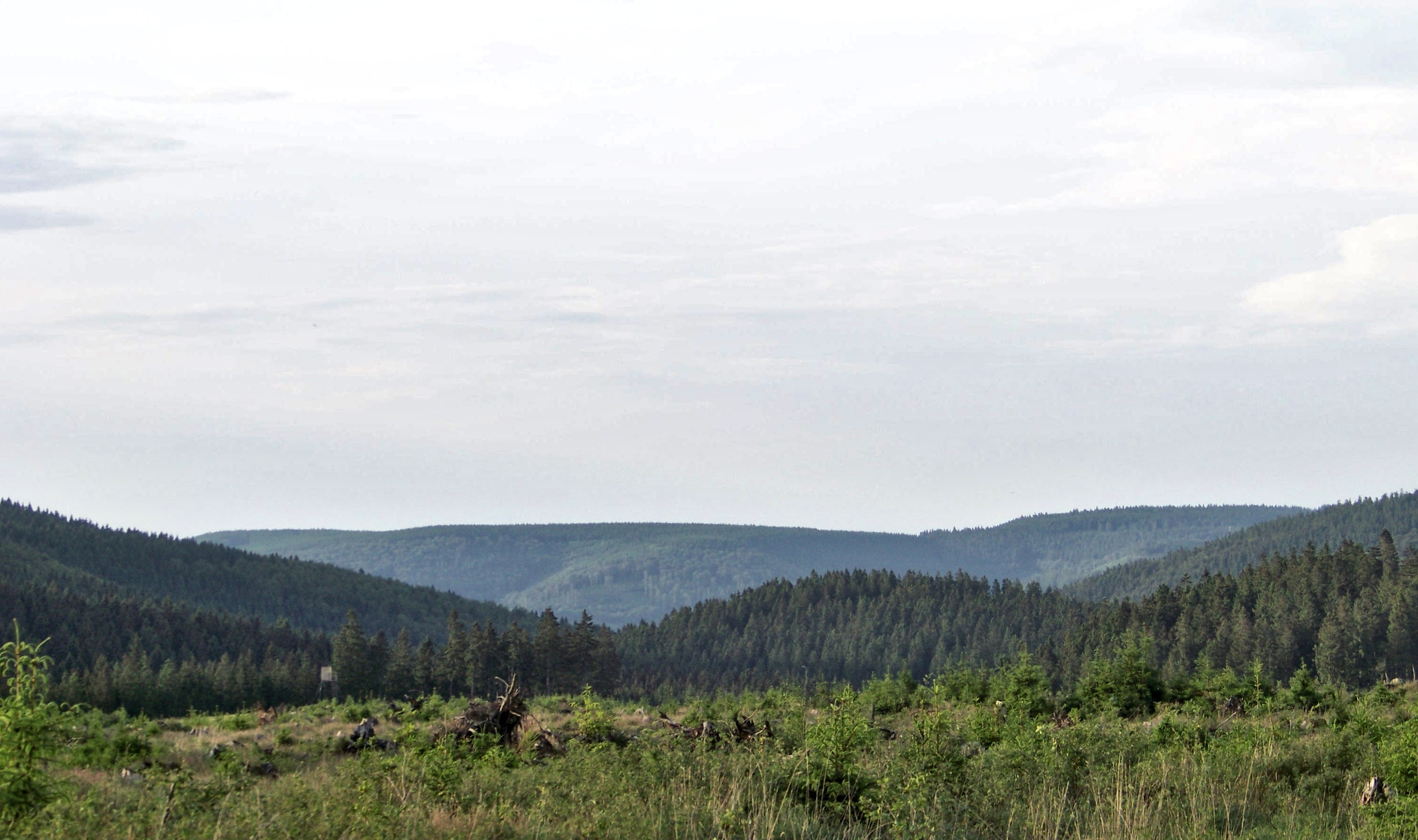 Langenberg