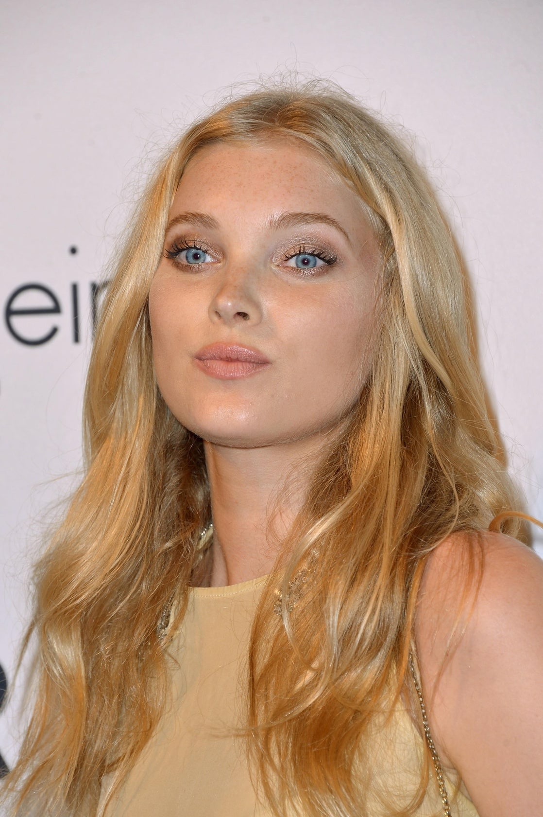 Image of Elsa Hosk