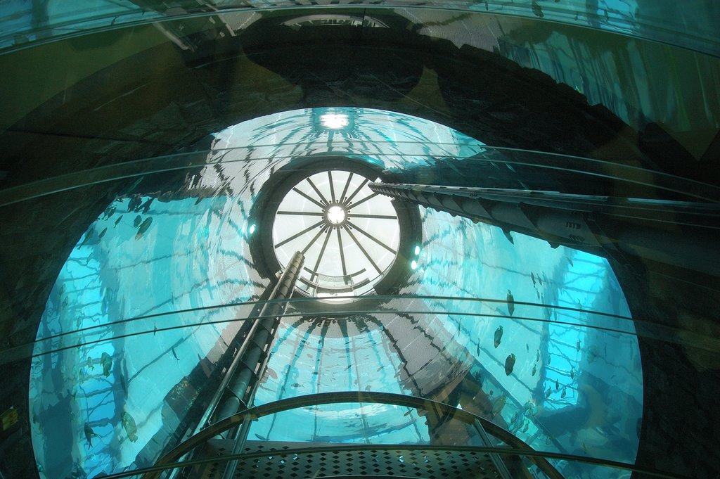 AquaDom