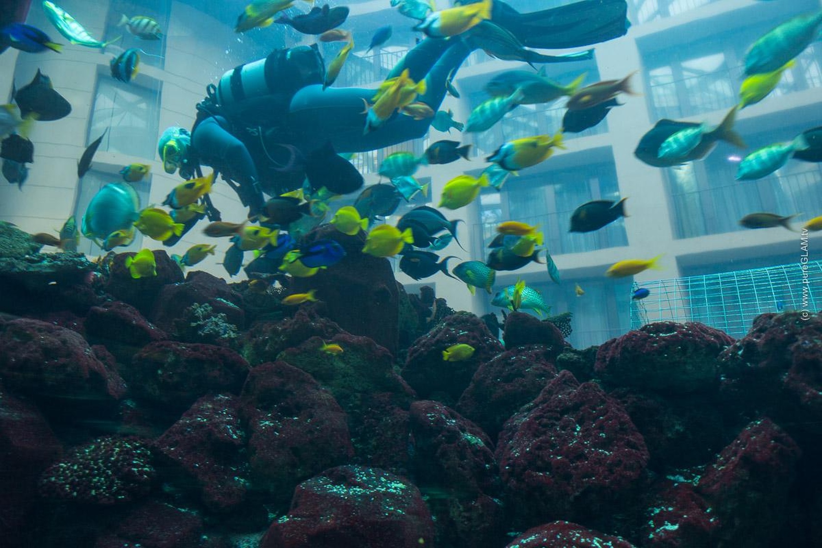 AquaDom
