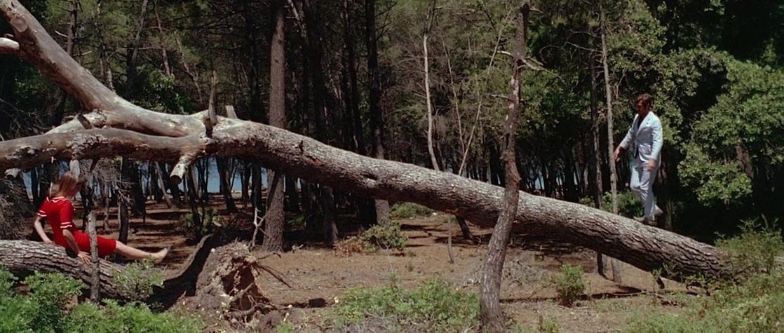 Pierrot le Fou