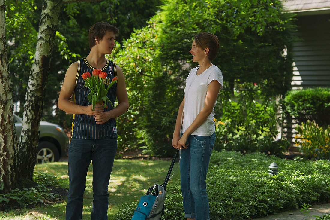 Ansel Elgort