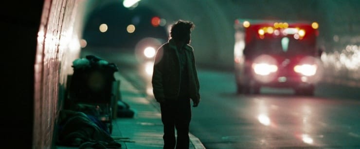 Picture of Into the Wild