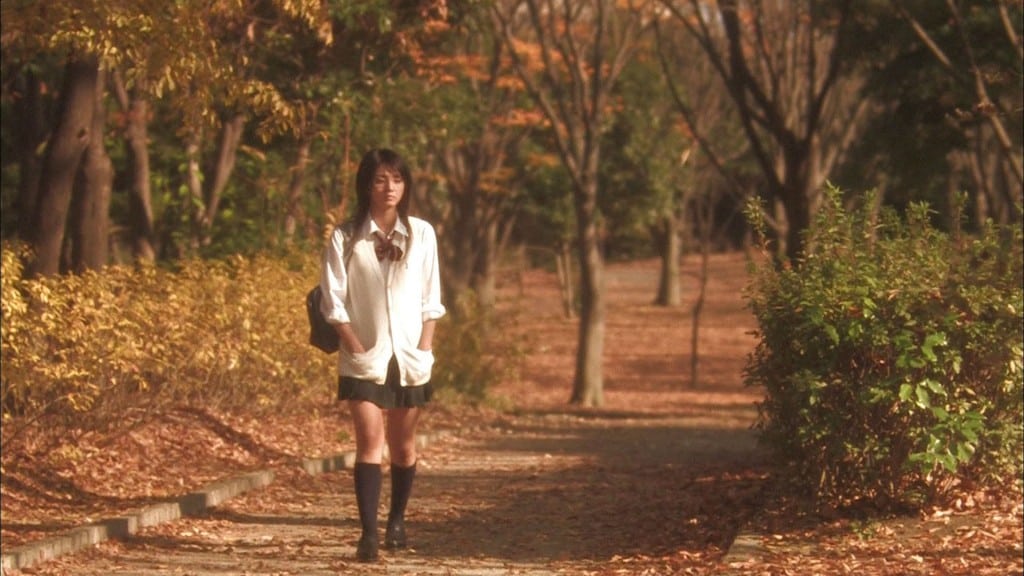 Love Exposure (2008)
