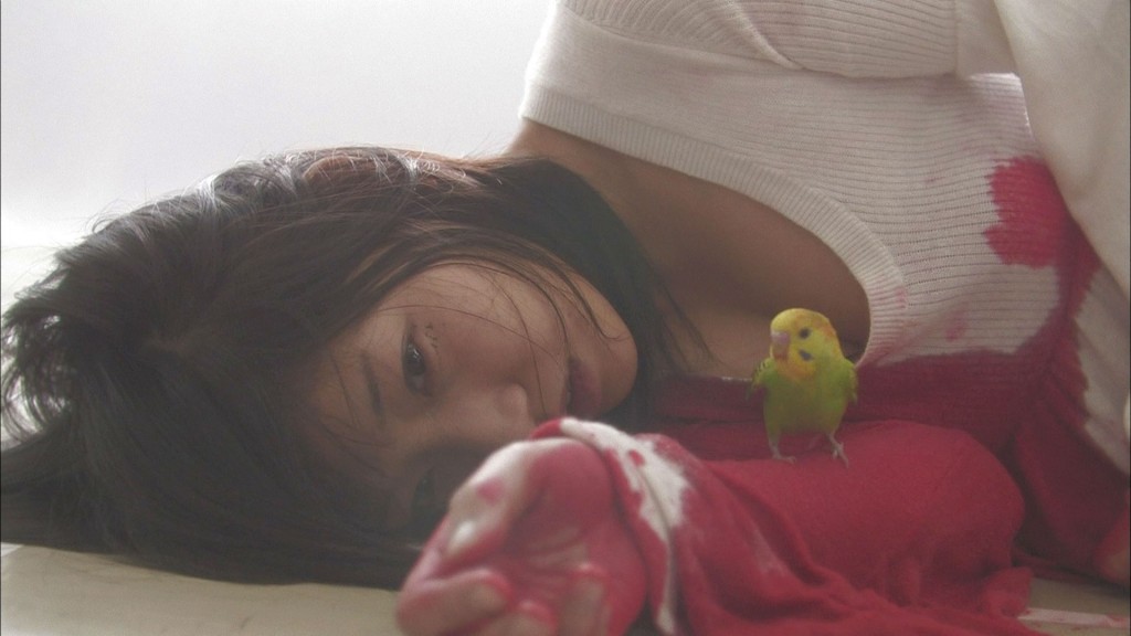 Love Exposure (2008)