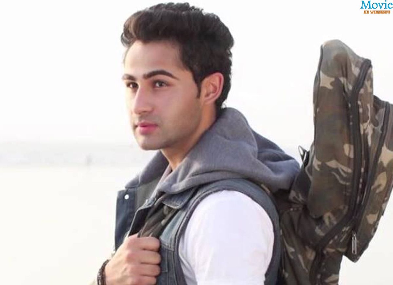 Lekar Hum Deewana Dil                                  (2014)