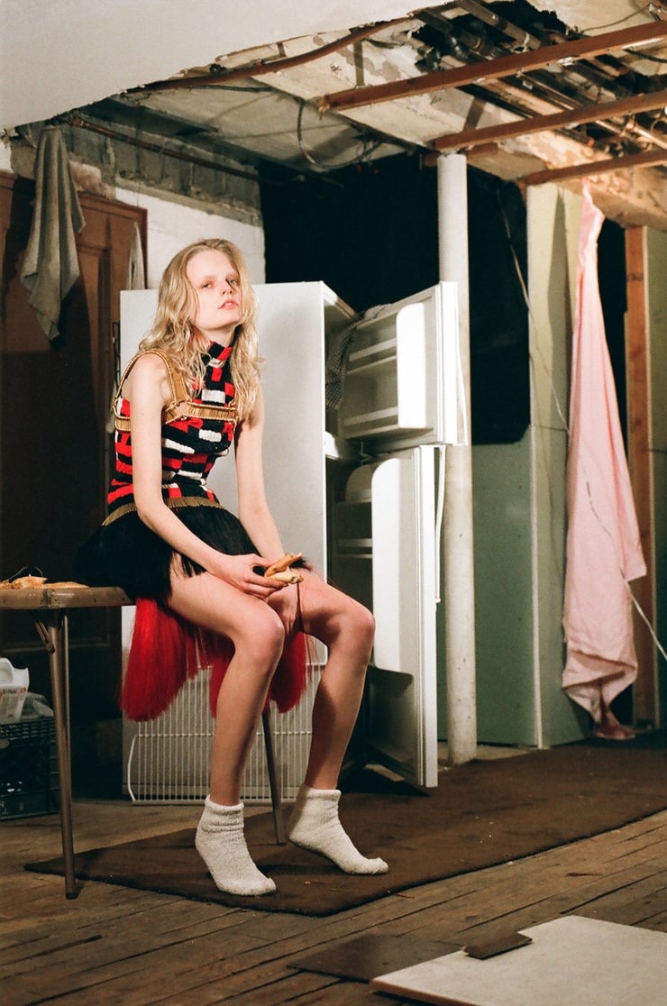 Picture of Hanne Gaby Odiele