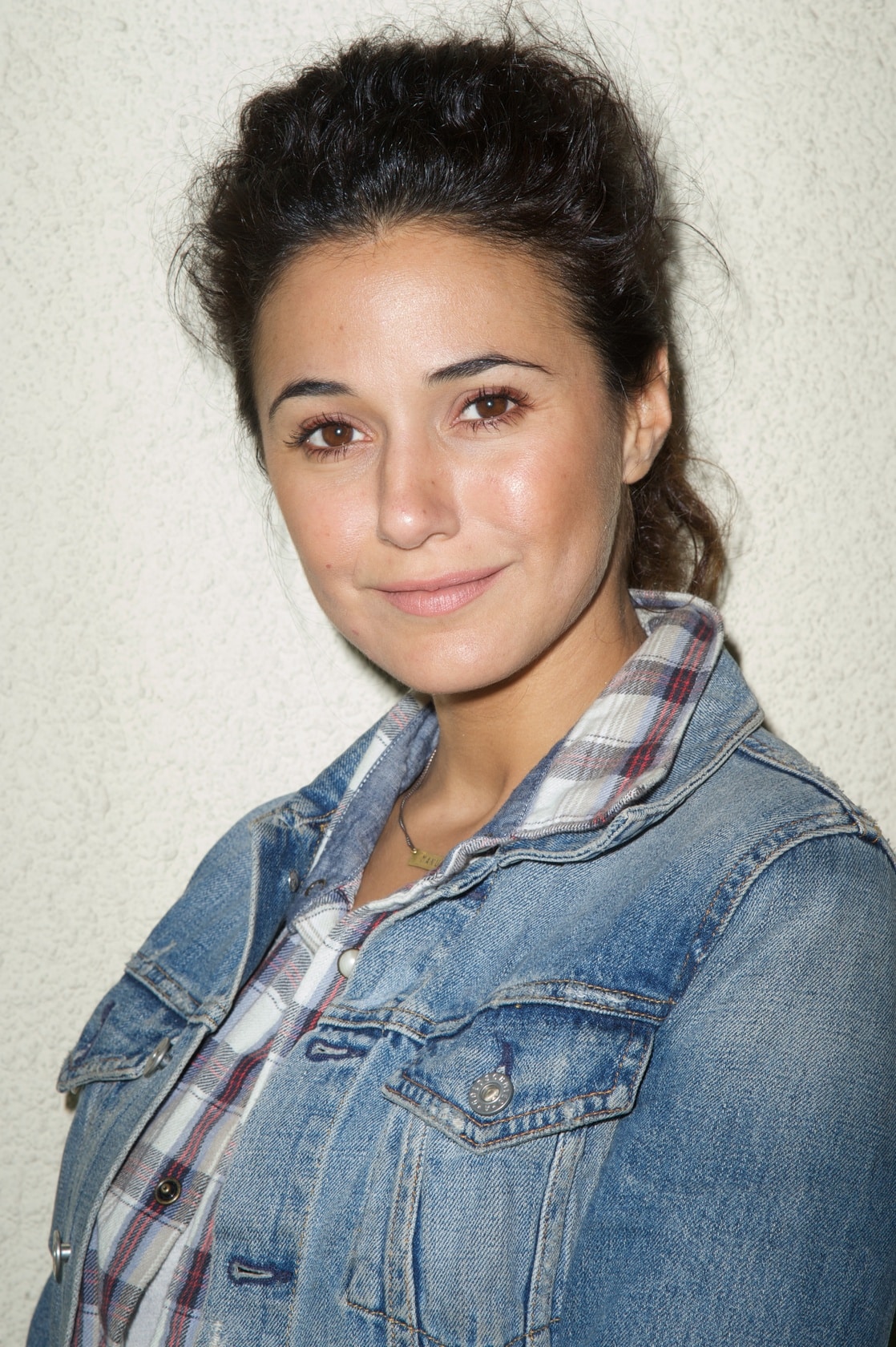 Picture Of Emmanuelle Chriqui