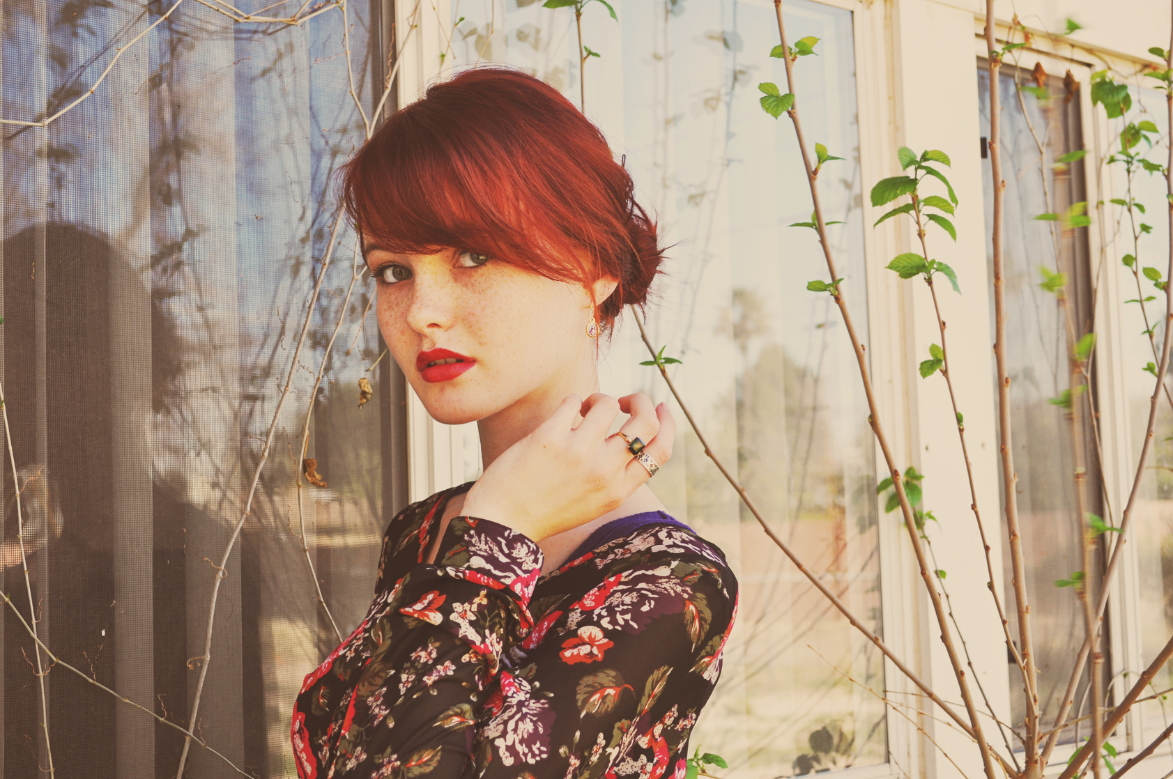 Kacy Anne Hill Kacy Anne Hill
