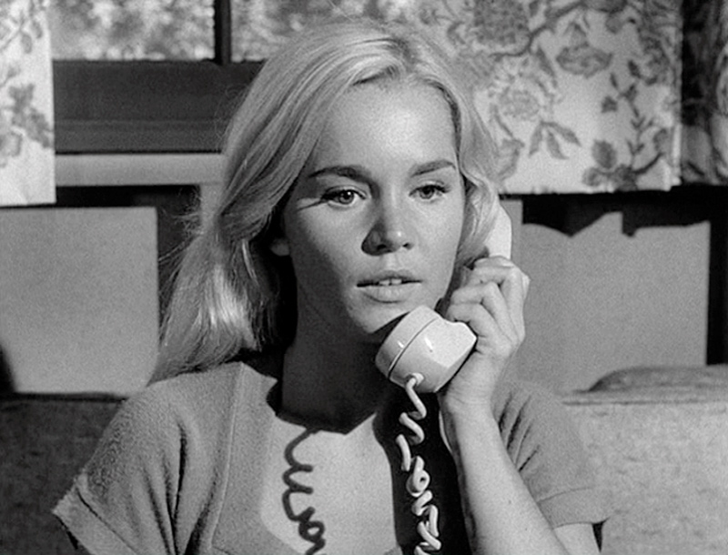 The Fugitive                                  (1963-1967)