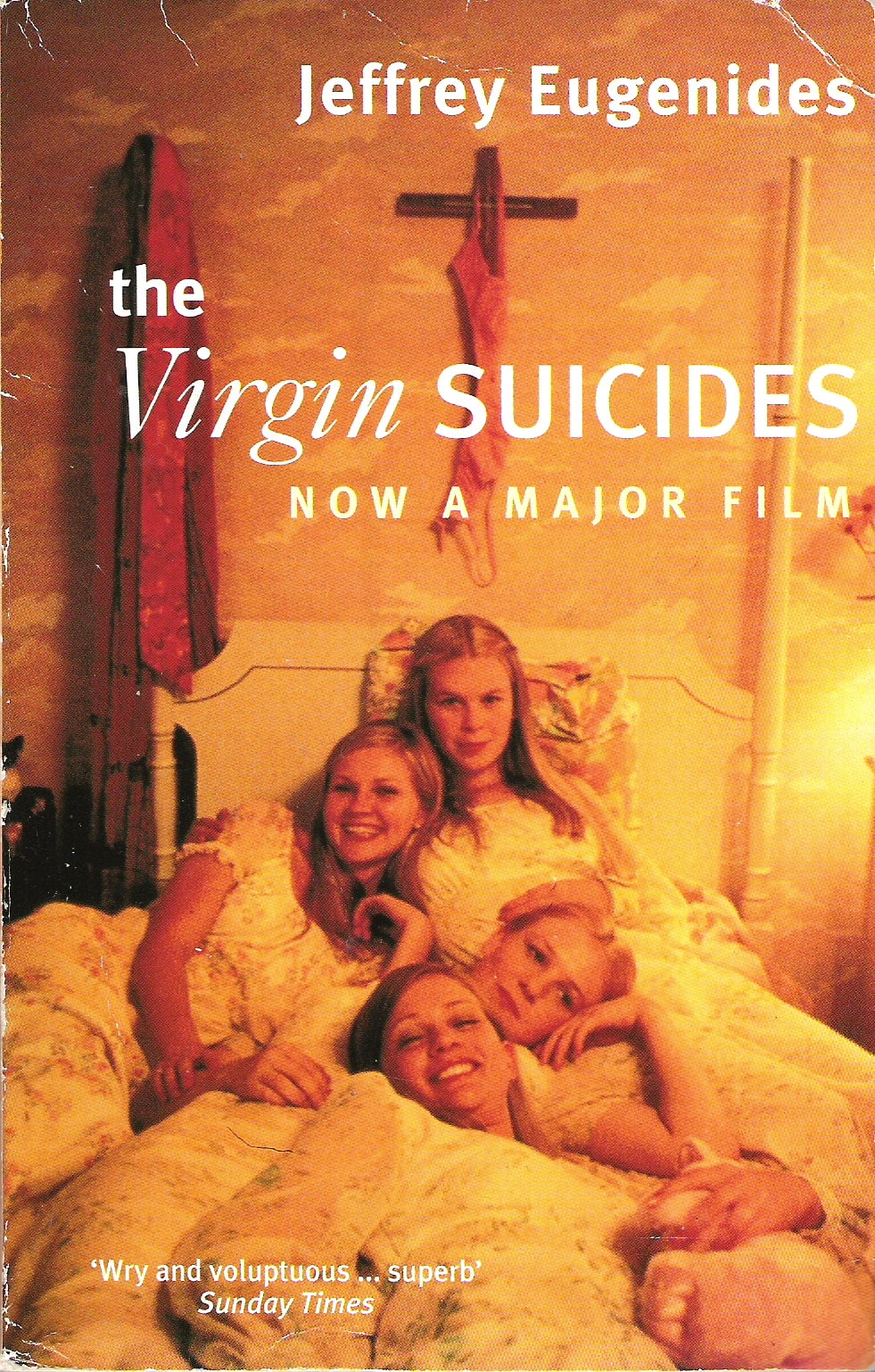 the virgin suïcides book plot