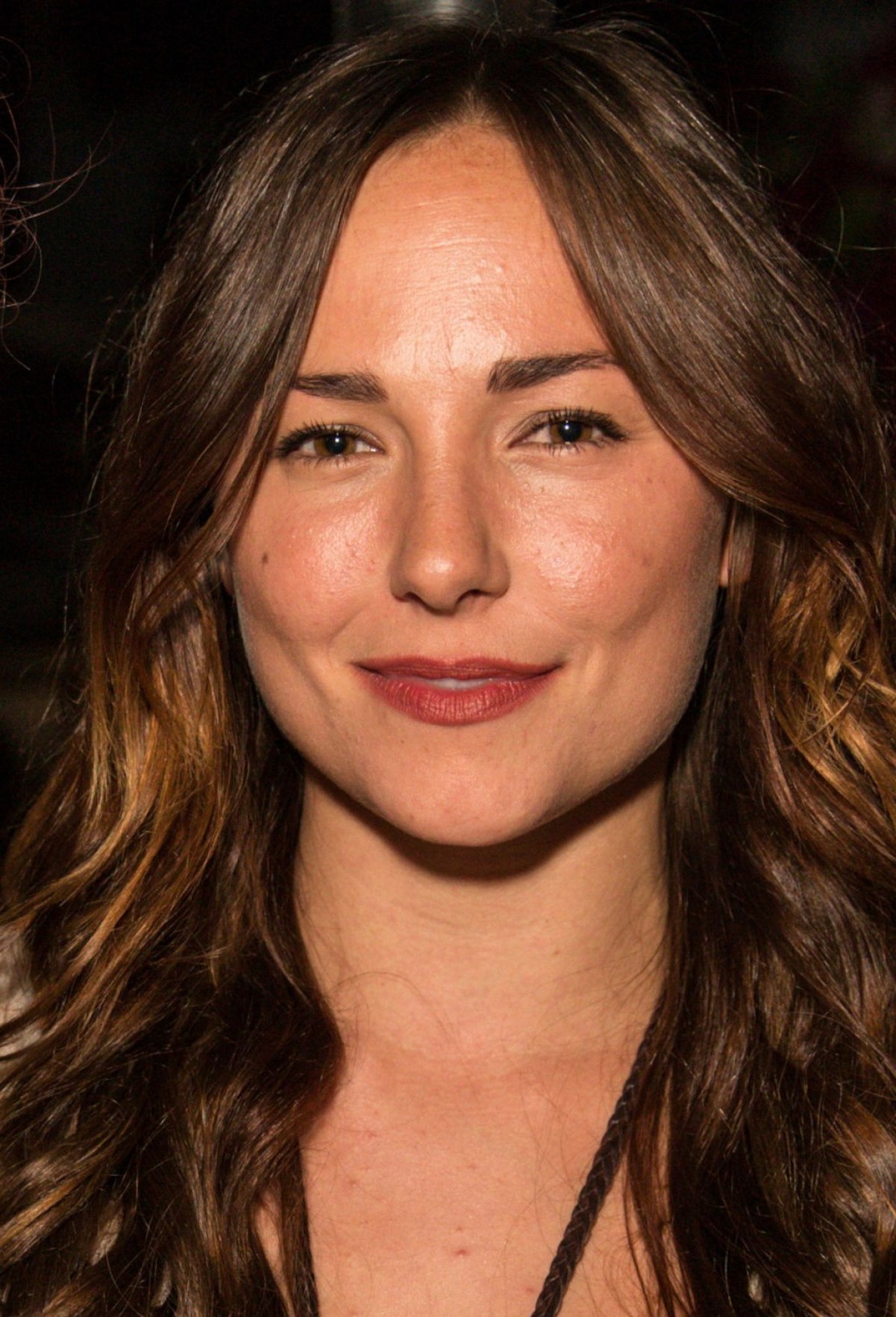 Picture of Briana Evigan
