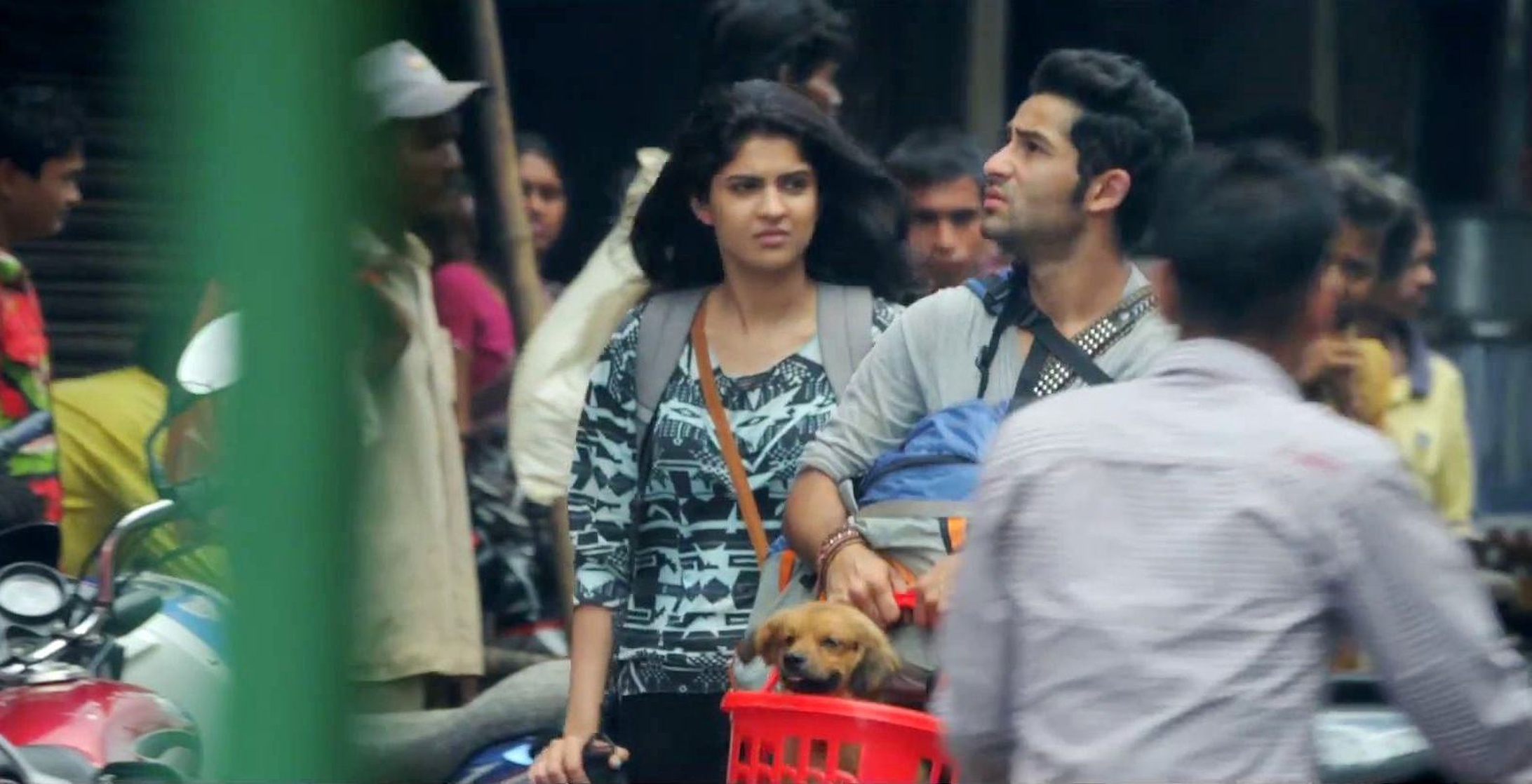 Lekar Hum Deewana Dil                                  (2014)