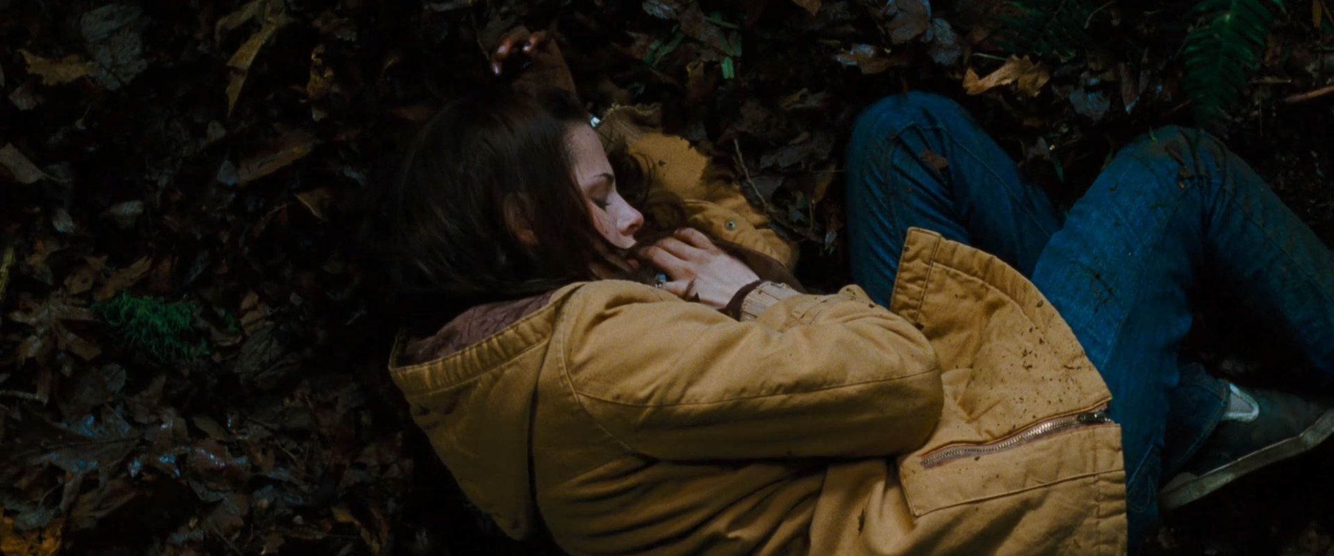 The Twilight Saga: New Moon The Twilight Saga: New Moon