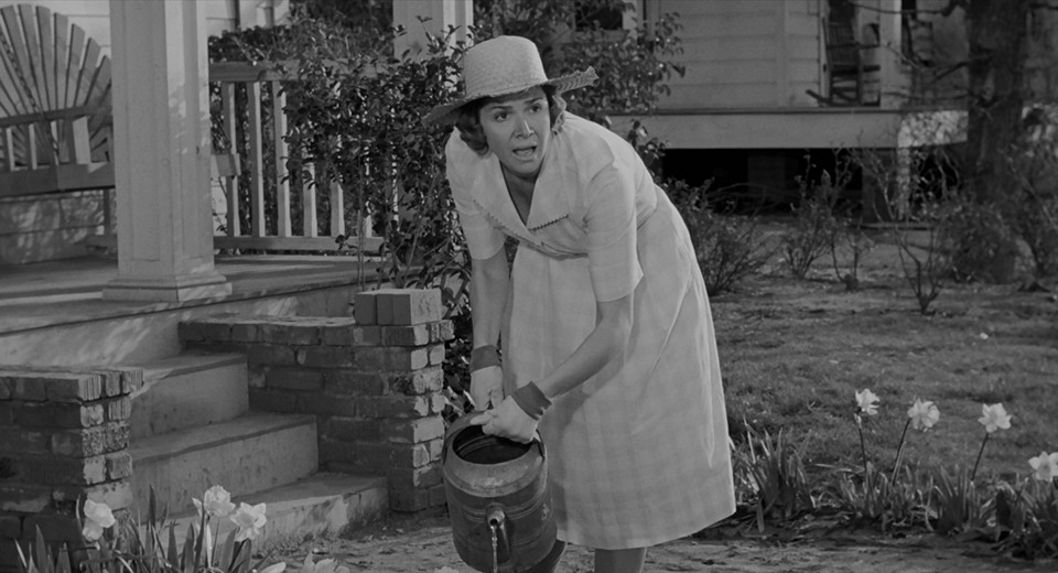 Rosemary Murphy