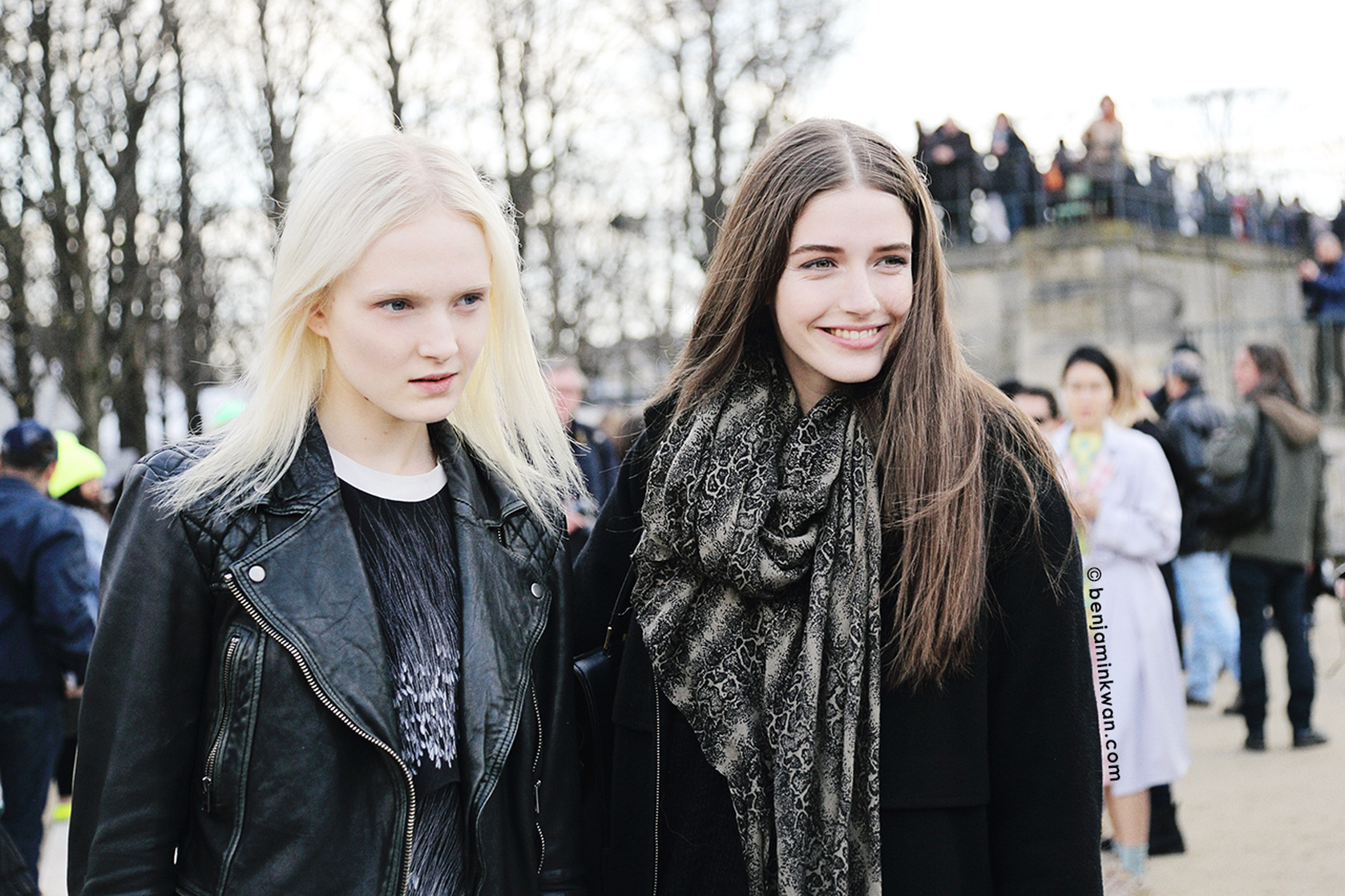 Maja Salamon