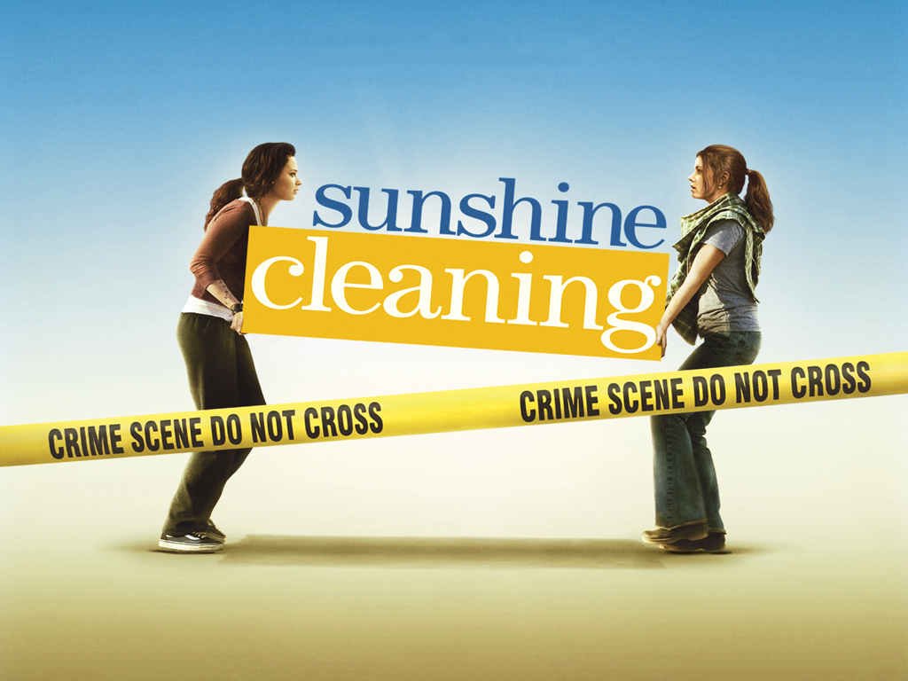 Sunshine Cleaning Sunshine Cleaning