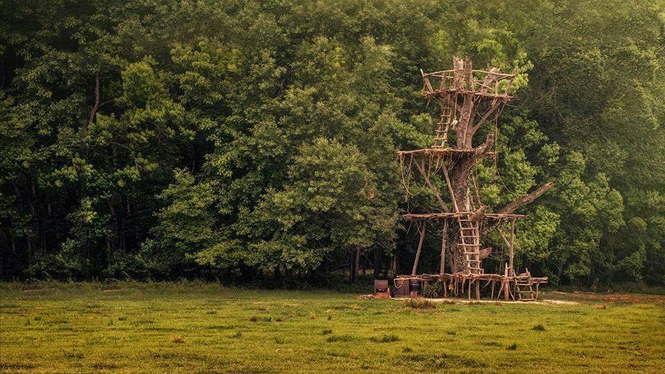 The Maze Runner