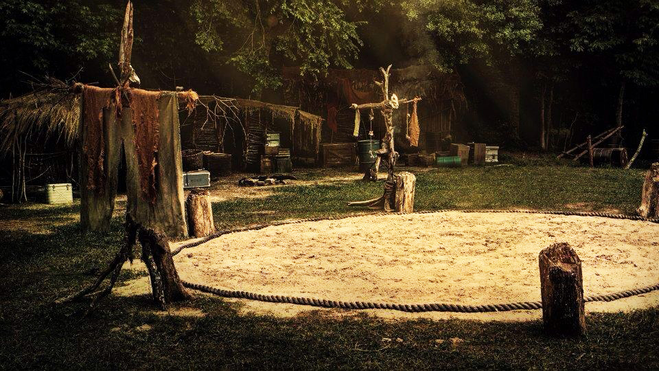The Maze Runner