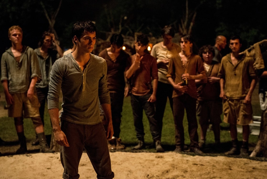 The Maze Runner